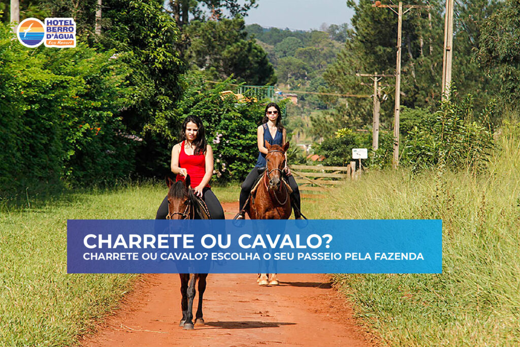 50 atrações no Hotel Berro D'água (10)