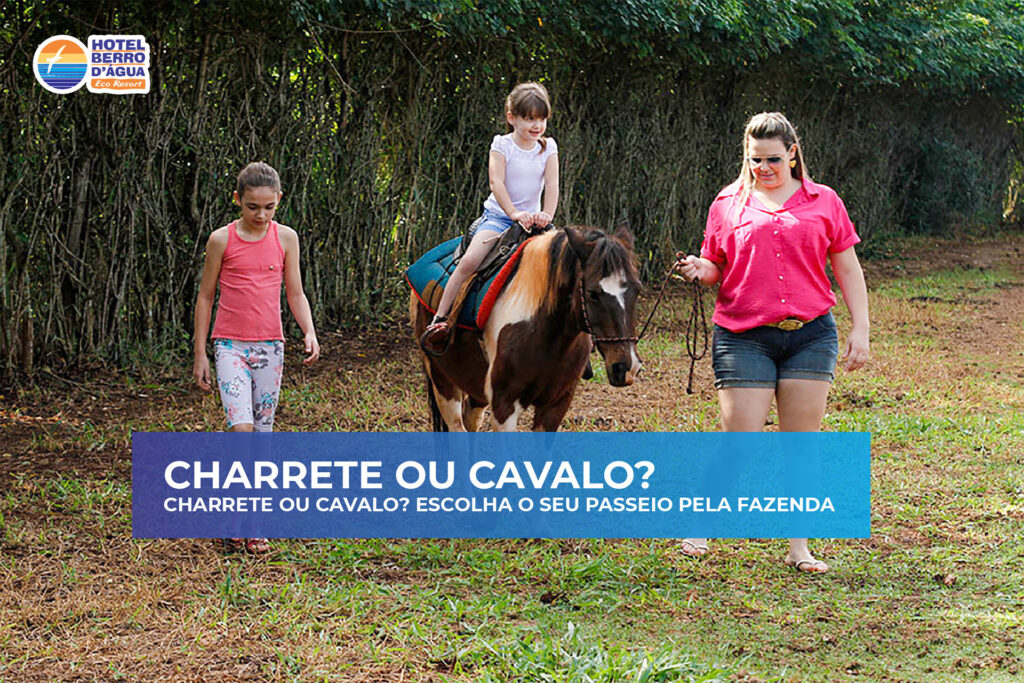 50 atrações no Hotel Berro D'água (11)