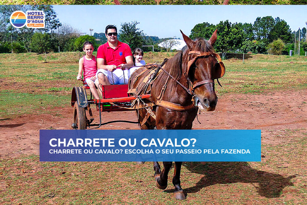 50 atrações no Hotel Berro D'água (12)